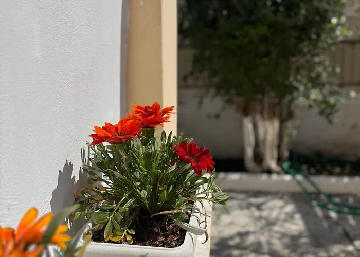 Corfu-apartments4you Apartment *